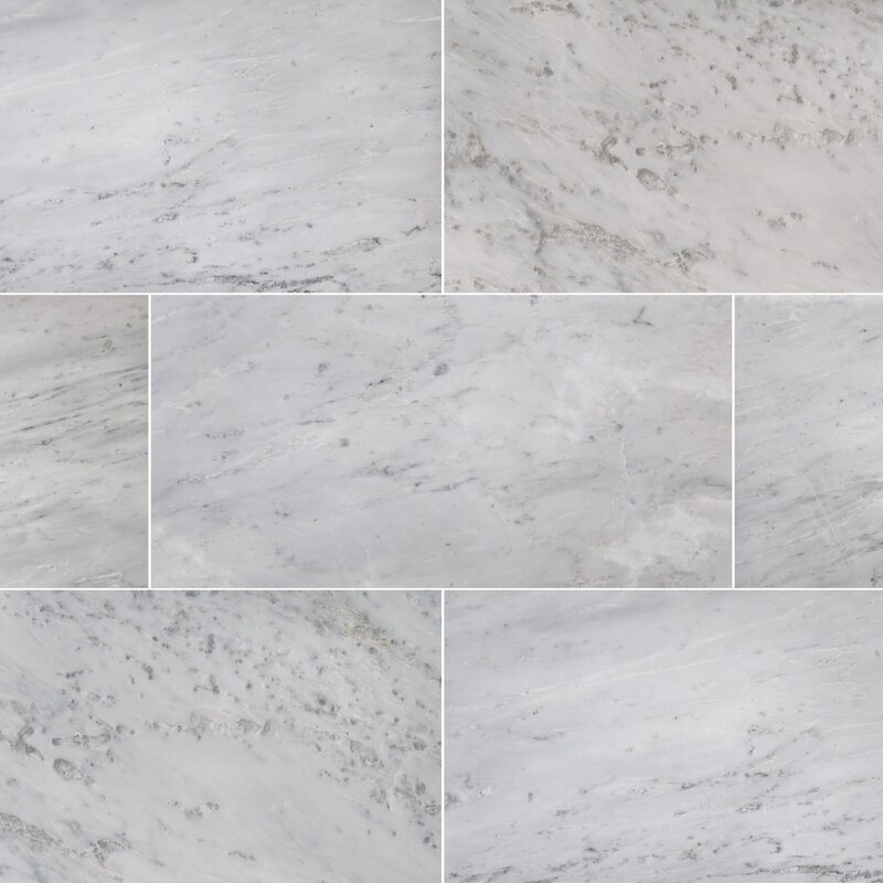 Arabescato Carrara 12" x 24" Marble Field Tile & Reviews AllModern